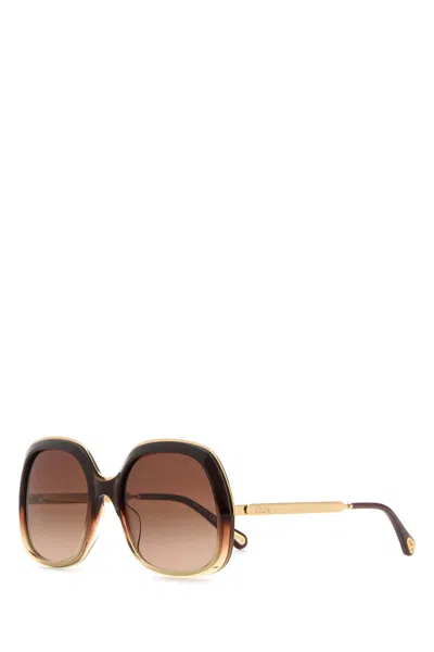 Chloé Chloe Brown Acetate Sunglasses