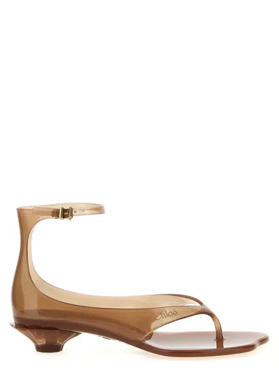 CHLOÉ WOMEN BROWN ANKLE STRAP SANDALS, 7.5 LUXURY SANDALS & FLOATERS FOR WOMEN DARVEYS