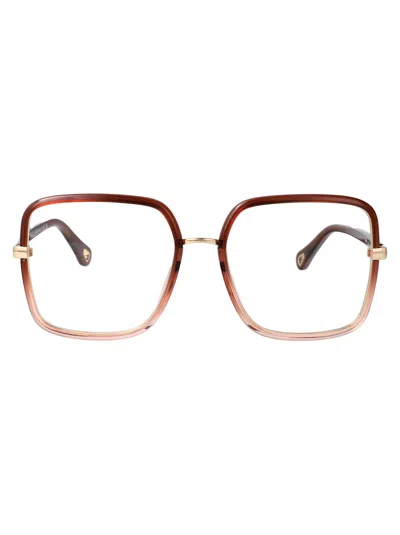 Chloé Brown-brown-transparent Bio Injection Glasses