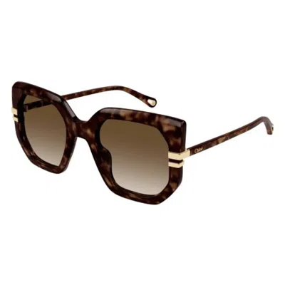 Chloé Chloe Brown Butterfly Ladies Sunglasses Ch0240s 002 53