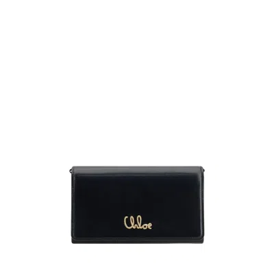Chloé Brown Calf Leather Bos Taurus Clutch Women's Bag