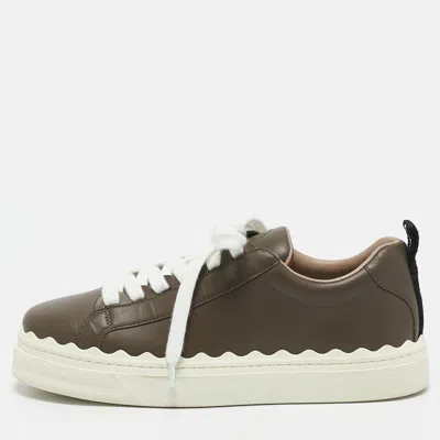 Pre-owned Chloé Brown Lace And Leather Lauren Sneakers Size 39