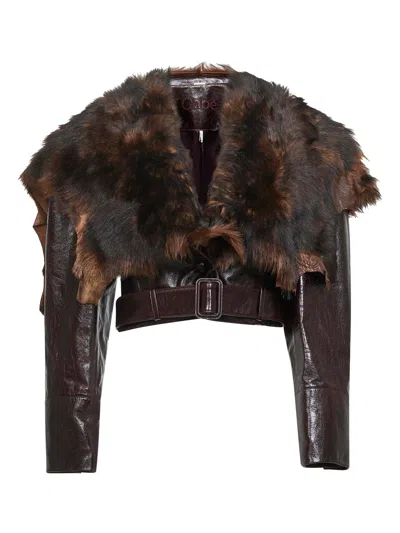CHLOÉ BROWN LEATHER CROPPED JACKET WITH SHEARLING COLLAR