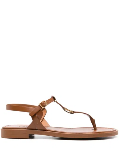Chloé Marcie Leather Flat Thong Sandals In Brown