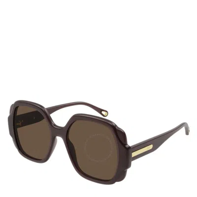 Chloé Chloe Brown Oversized Ladies Sunglasses Ch0121s 001 55