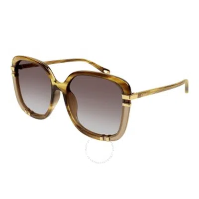 Chloé Chloe Brown Square Ladies Sunglasses Ch0106sa 006 59