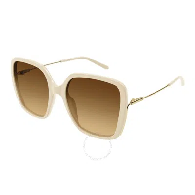 Chloé Chloe Brown Square Ladies Sunglasses Ch0173s 005 57