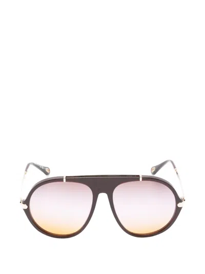 Chloé Brown Sunglasses