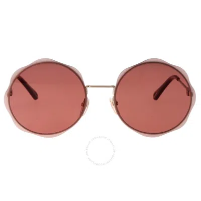 CHLOÉ CHLOE BURGUNDY ROUND LADIES SUNGLASSES CH0202S 003 61