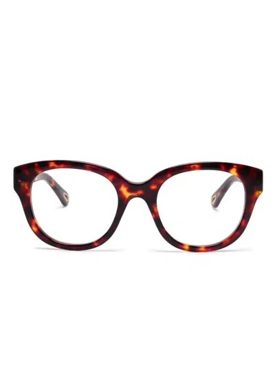 Chloé Butterfly-frame Glasses In Brown