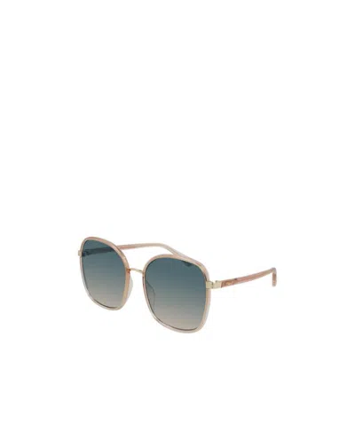 Chloé Butterfly Frame Sunglasses In Gray