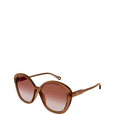 Chloé Butterfly Plastic Sunglasses With Orange Gradient Lens In Brown