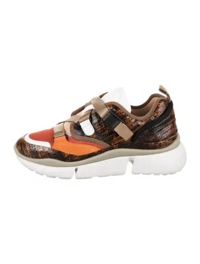Pre-owned Chloé Calf Leather Animal Print Sneakers In Multi