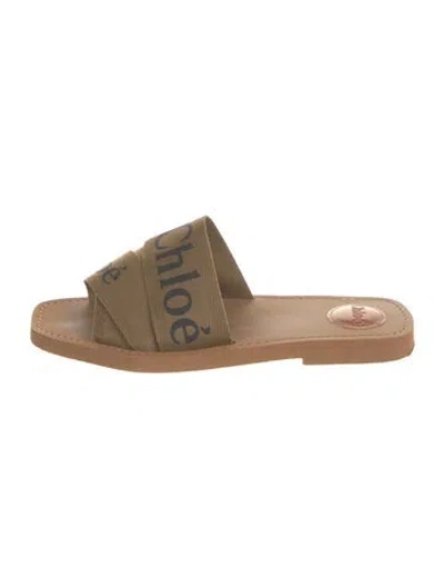 Pre-owned Chloé Canvas Graphic Print Slides In Brown