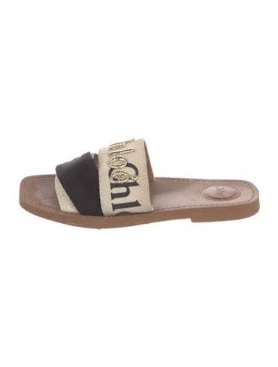 Pre-owned Chloé Canvas Graphic Print Slides In Multi