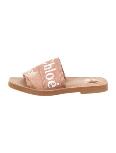 Pre-owned Chloé Canvas Graphic Print Slides In Multicolor