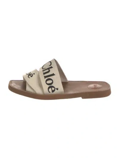 Pre-owned Chloé Canvas Printed Slides In Brown