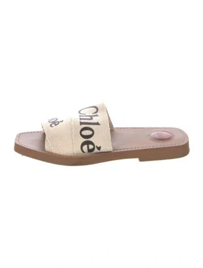 Pre-owned Chloé Canvas Printed Slides In Neutral