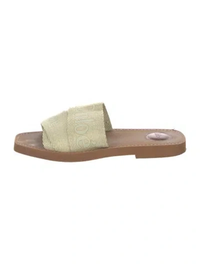 Pre-owned Chloé Canvas Slides In Multi