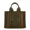 Chloé Chloe Women Khaki Canvas Small Woody Shopping Bag In Beige