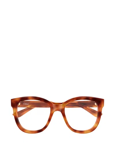 Chloé Cat-eye Glasses In Multi