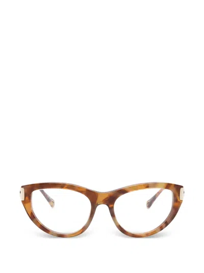 Chloé Cat-eye Glasses In Brown