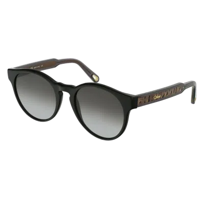 Chloé Ce753 S Sunglasses In Black