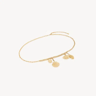 CHLOÉ THE CHLOÉ SHELLS BELT GOLD SIZE ONESIZE 100% BRASS