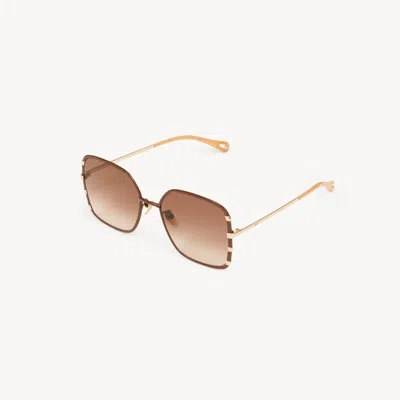 Chloé Celeste Sunglasses In Multi