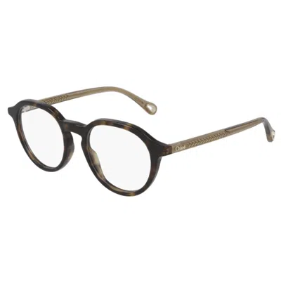 Chloé Ch0012o004 Havana Brown Transpar