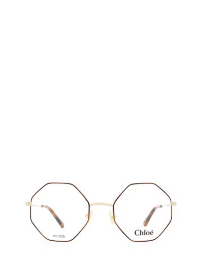 Chloé Ch0022o Gold & Havana Glasses