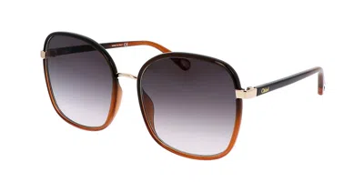 Chloé Ch0031s 005 Occhiali Da Sole Grigi Per Donna In Brown