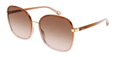 Chloé Ch0031s 007 Women's Sunglasses Brown Size 56