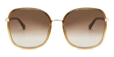 Chloé Ch0031s 012 Women's Sunglasses Brown Size 59