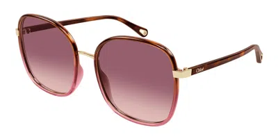 Chloé Ch0031s 016 Women's Sunglasses Tortoiseshell Size 56 In Red