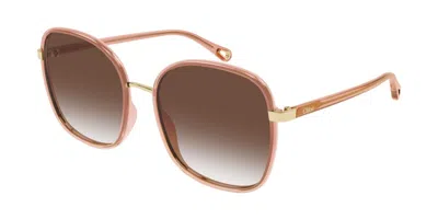 Chloé Ch0031s 019 Occhiali Da Sole Rossi Per Donna In Brown