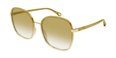 Chloé Ch0031s 022 Occhiali Da Sole Marroni Per Donna In Green