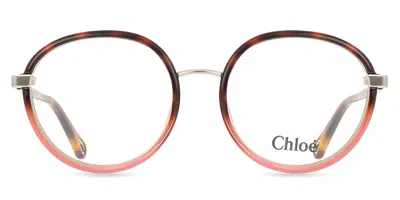 Chloé Ch0033o Women's Glasses, Tortoiseshell, Size 51