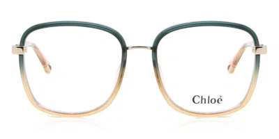 Chloé Ch0034o 010 Occhiali Da Vista Blu Per Donna (solo Montatura) In Brown