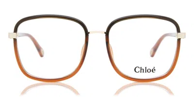 Chloé Ch0034o 009 Occhiali Da Vista Marroni Per Donna (solo Montatura) In Brown