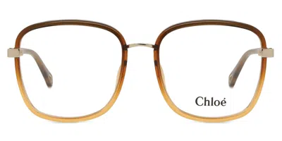 Chloé Ch0034o Women's Glasses, Brown, Size 53