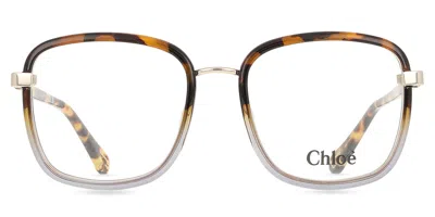 Chloé Ch0034o Women's Glasses, Tortoiseshell, Size 50