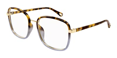 Chloé Ch0034o Women's Glasses, Tortoiseshell, Size 53