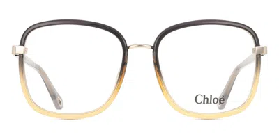 Chloé Ch0034o Women's Glasses, Yellow, Size 53 In Multi