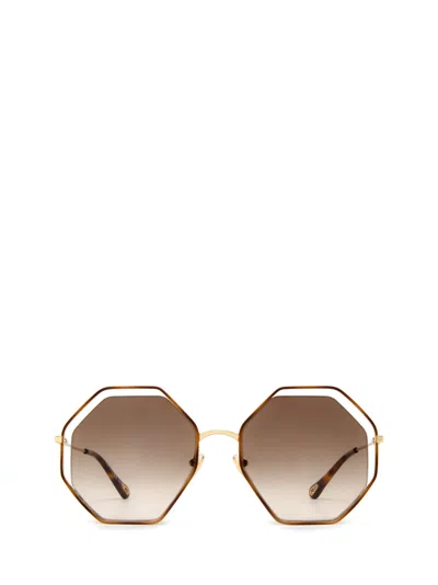 Chloé Ch0046s Havana Sunglasses In Brown Grad