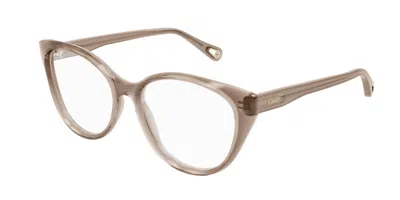 Chloé Ch0052o Women's Glasses, Brown, Size 51 In Multi