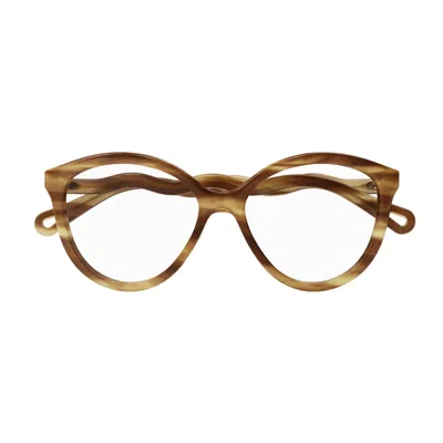 Chloé Ch0089o Rounded Tortoiseshell Frame Eyeglasses In Brown