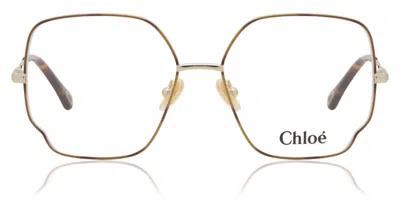 Chloé Ch0096o 008 Occhiali Da Vista Tartarugatishell Per Donna (solo Montatura) In Neutral