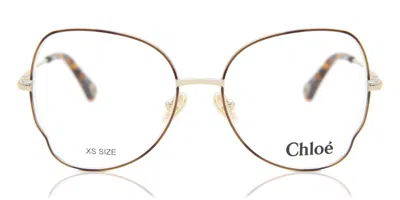 Chloé Ch0098o 004 Occhiali Da Vista Tartarugatishell Per Donna (solo Montatura) In Gold