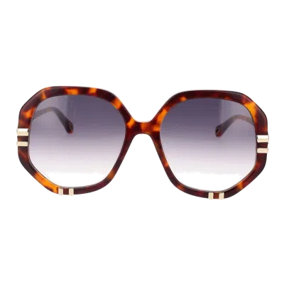 Chloé Ch0105 S Sunglasses In Multi